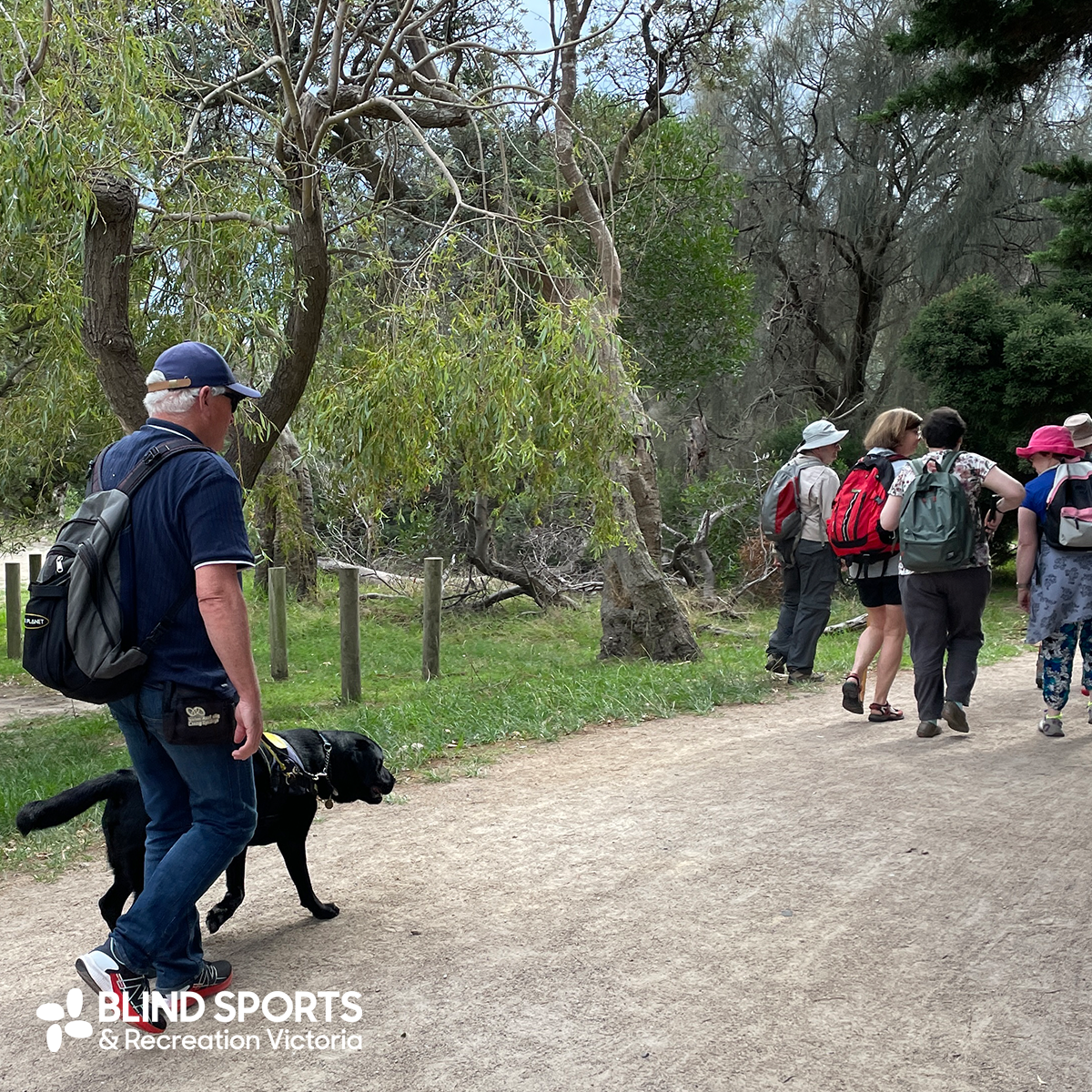 A path leading through the bush with walkers on a guided tour. A small group is up front with a man wearing a backpack and sensible shoes walking with their black Labrador guide dog.